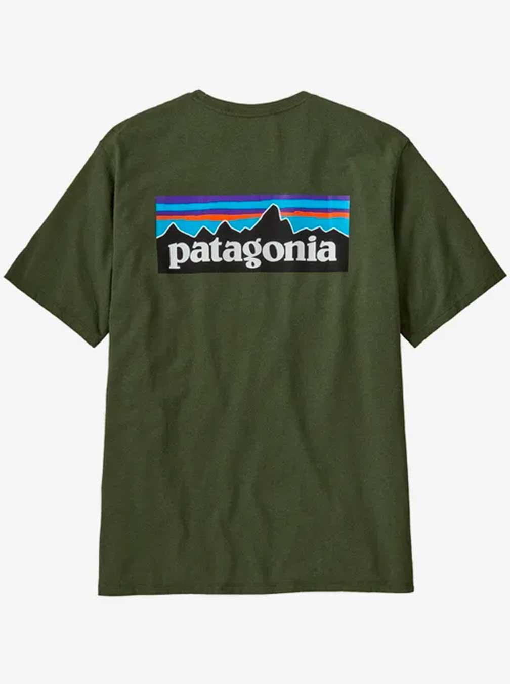 PATAGONIA T-shirt - Green
